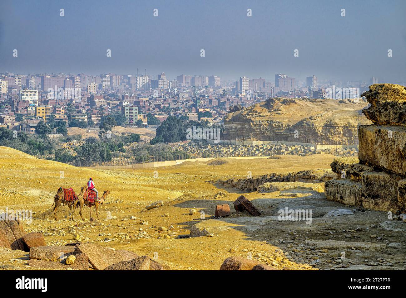 Cameleer riding his camels on the Giza Plateau in front of the Menkaure mortuary temple Stock Photo