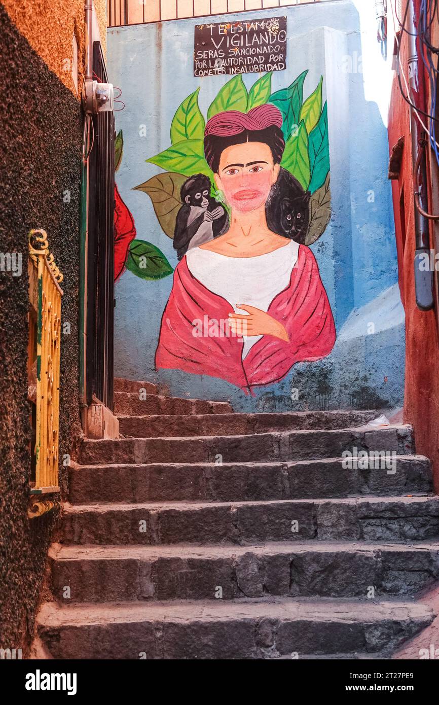 A mural of the legendary Mexican painter Frida Kahlo and her pet monkey
