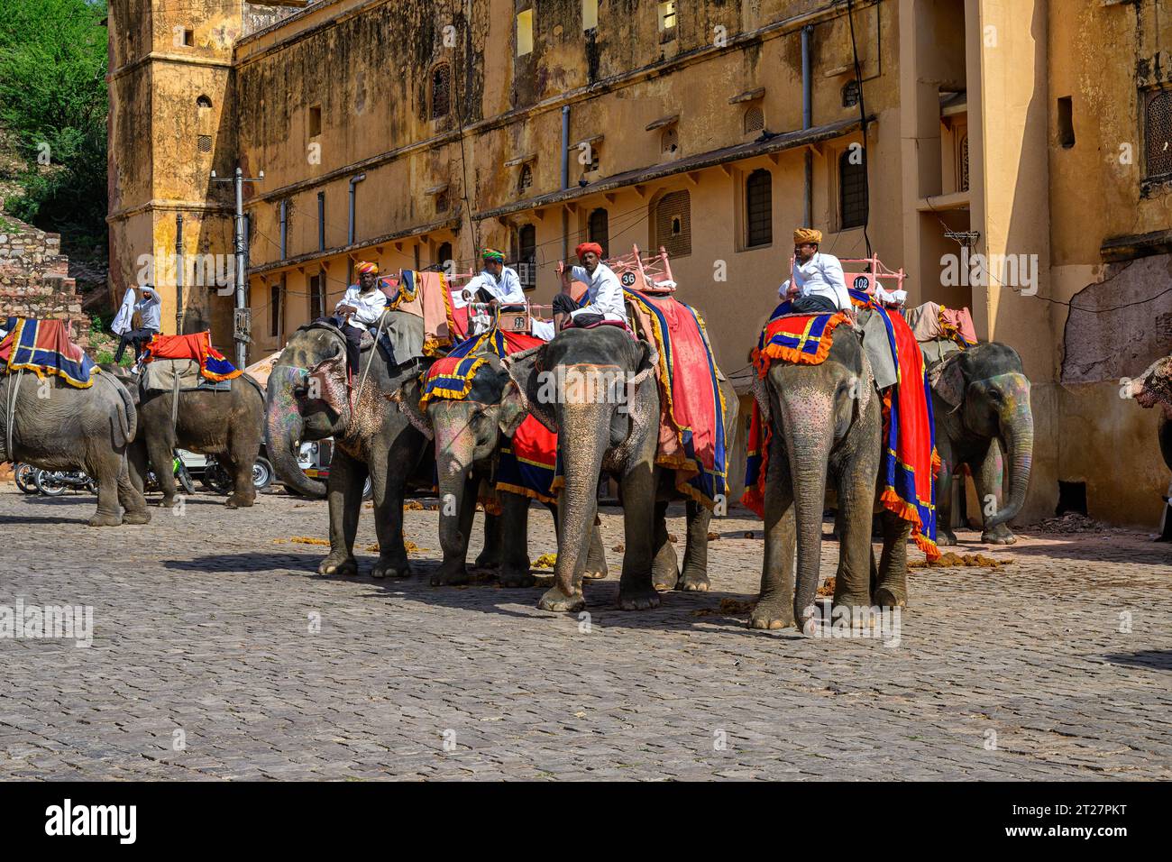 Mahouts and their Elephants waiting for tourists in the car park ...