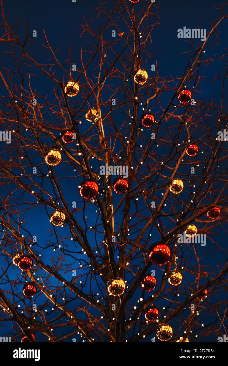 Tree branches decorated with red and golden Christmas glittering balls. New Year's outdoor festive decorations against a blue night sky. Magic wallpap Stock Photo