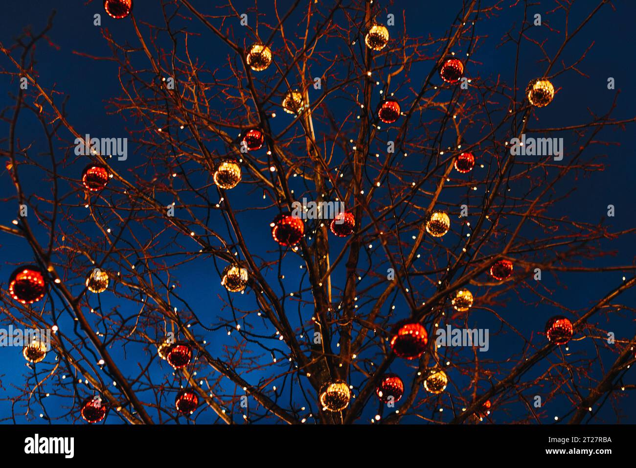 Tree branches decorated with red and golden Christmas glittering balls. New Year's outdoor festive decorations against a blue night sky. Magic wallpap Stock Photo