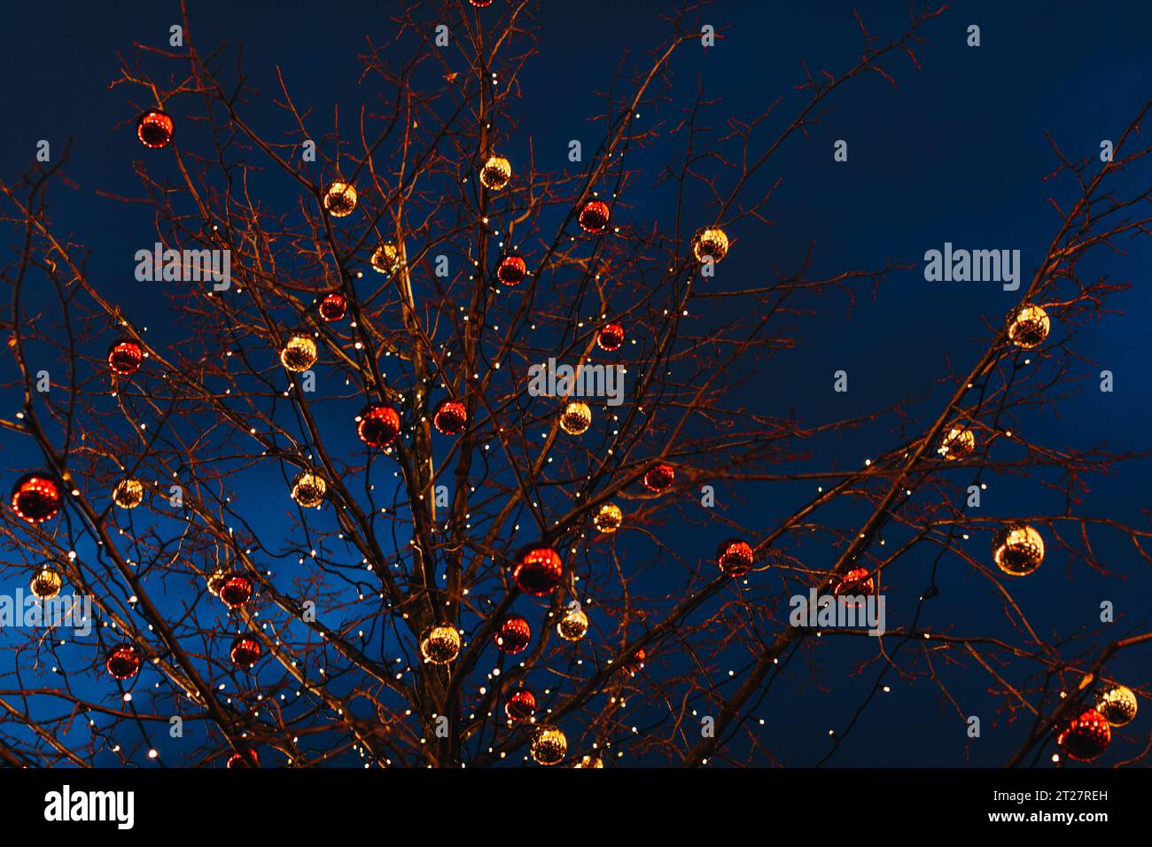Dried tree branches decorated with red and golden Christmas glittering balls. New Year's outdoor festive decorations against a blue night sky. Magic w Stock Photo