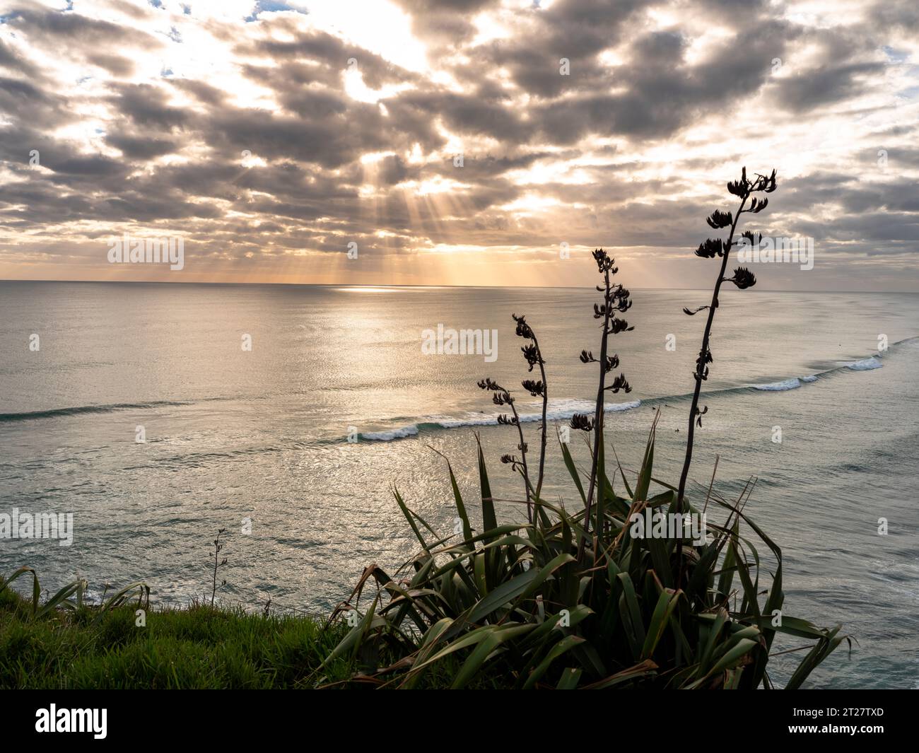 Muriwai beach, Auckland west coast, New Zealand Stock Photo