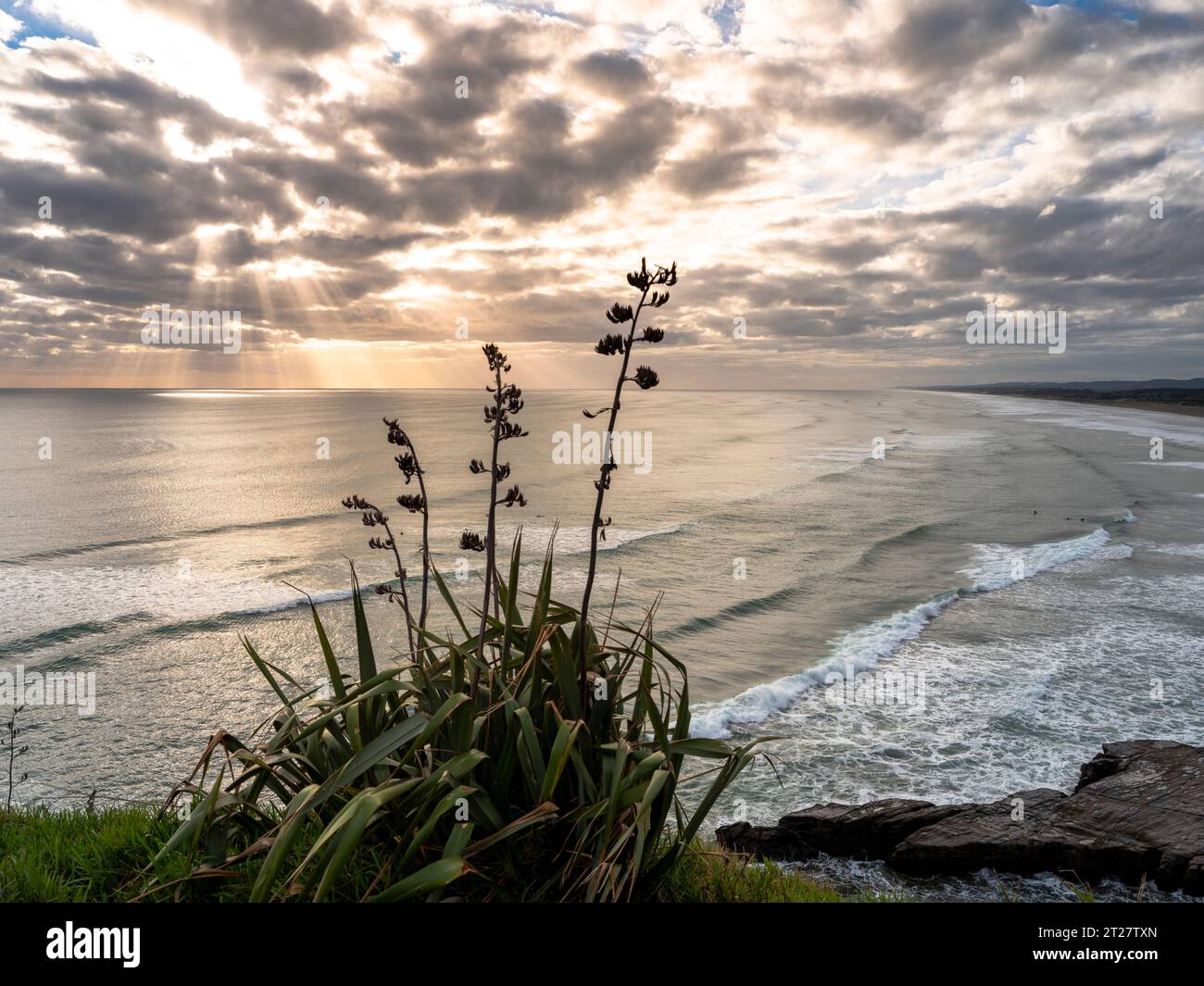 Muriwai beach, Auckland west coast, New Zealand Stock Photo