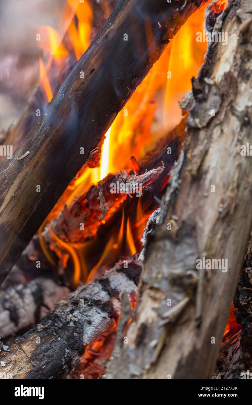 campfire-on-the-night-party-stock-photo-alamy