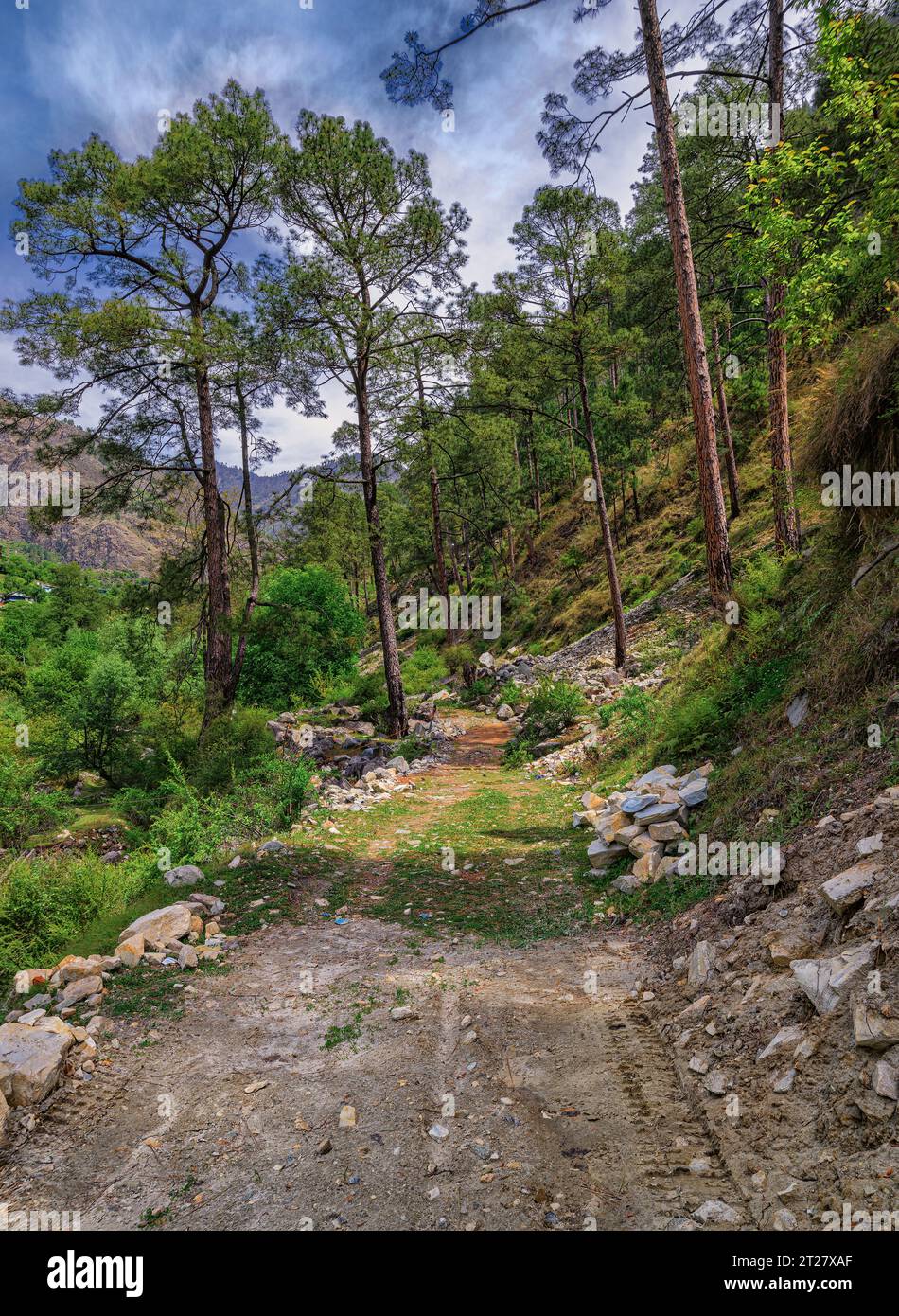 Walking trail alongside the Kalwari stream in Himachal Pradesh Stock Photo