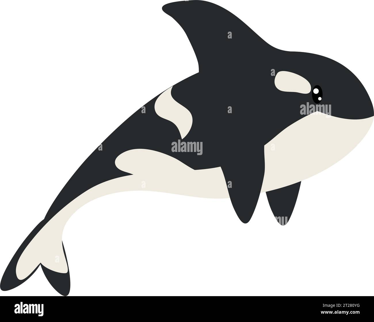 killer whale illustration Stock Vector Image & Art - Alamy