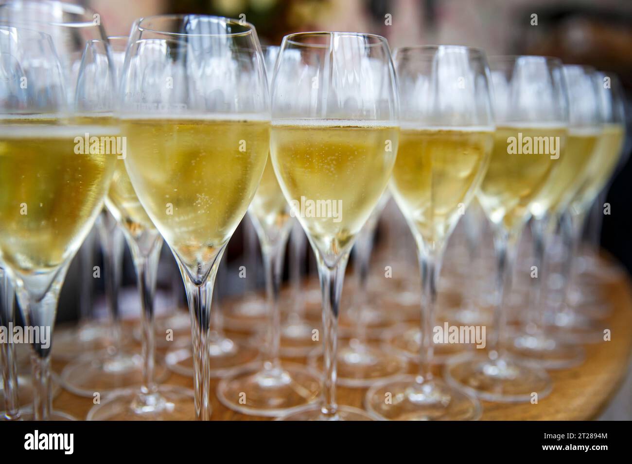 Champagne Flutes filled with champagne Stock Photo Alamy