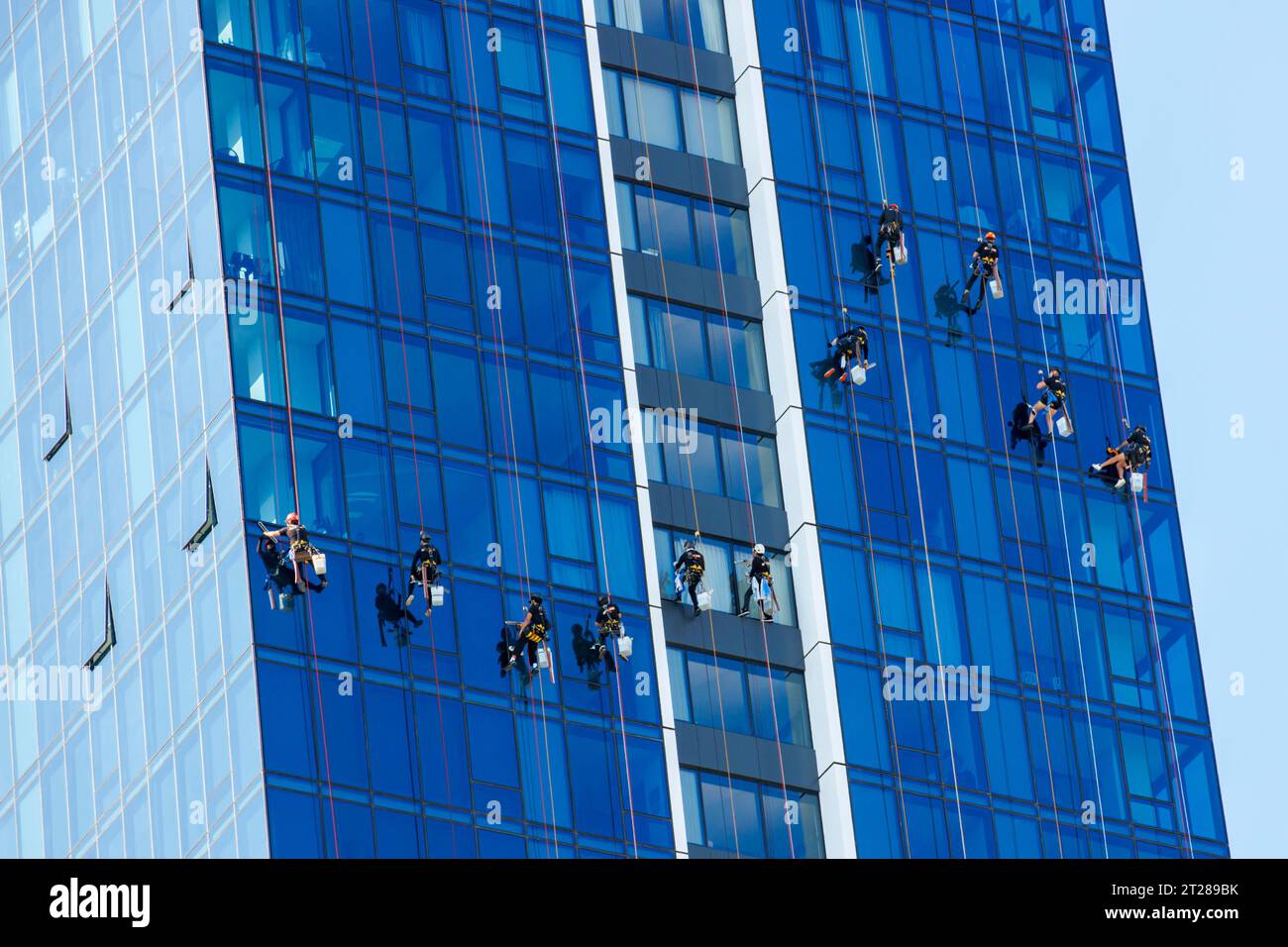 High rise window cleaners hanging from ropes cleaning a skyscraper’s windows Stock Photo