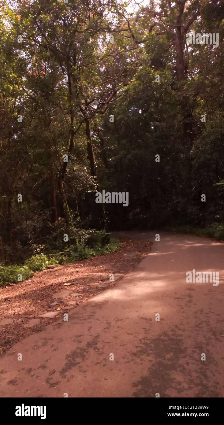 Photograpy in sri lanka hi-res stock photography and images - Alamy