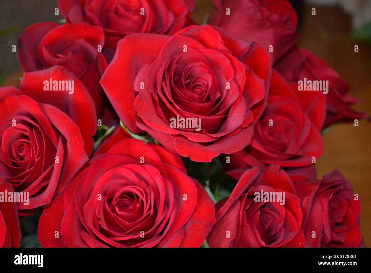 Rosy bouquet hires stock photography and images Alamy