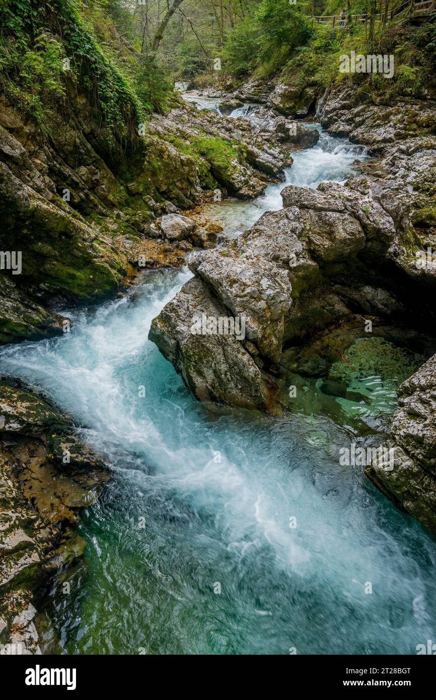 The Vintgar Gorge or Bled Gorge is a 1.6-kilometer (0.99 mi) gorge , carved by the Radovna River near Bled, Slovenian Alps, Slovenia. Stock Photo