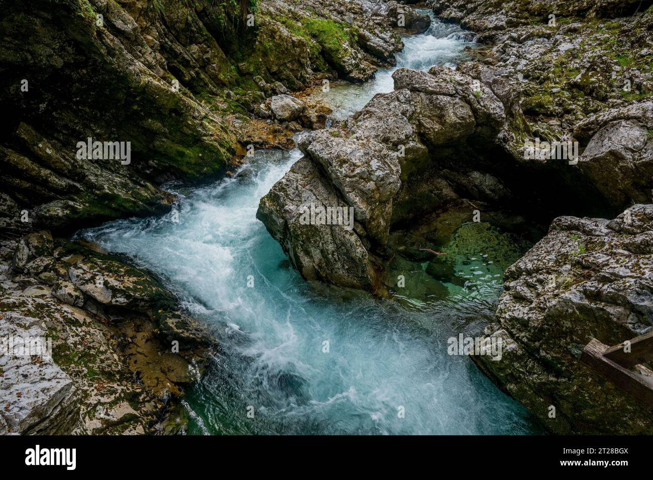 The Vintgar Gorge or Bled Gorge is a 1.6-kilometer (0.99 mi) gorge , carved by the Radovna River near Bled, Slovenian Alps, Slovenia. Stock Photo