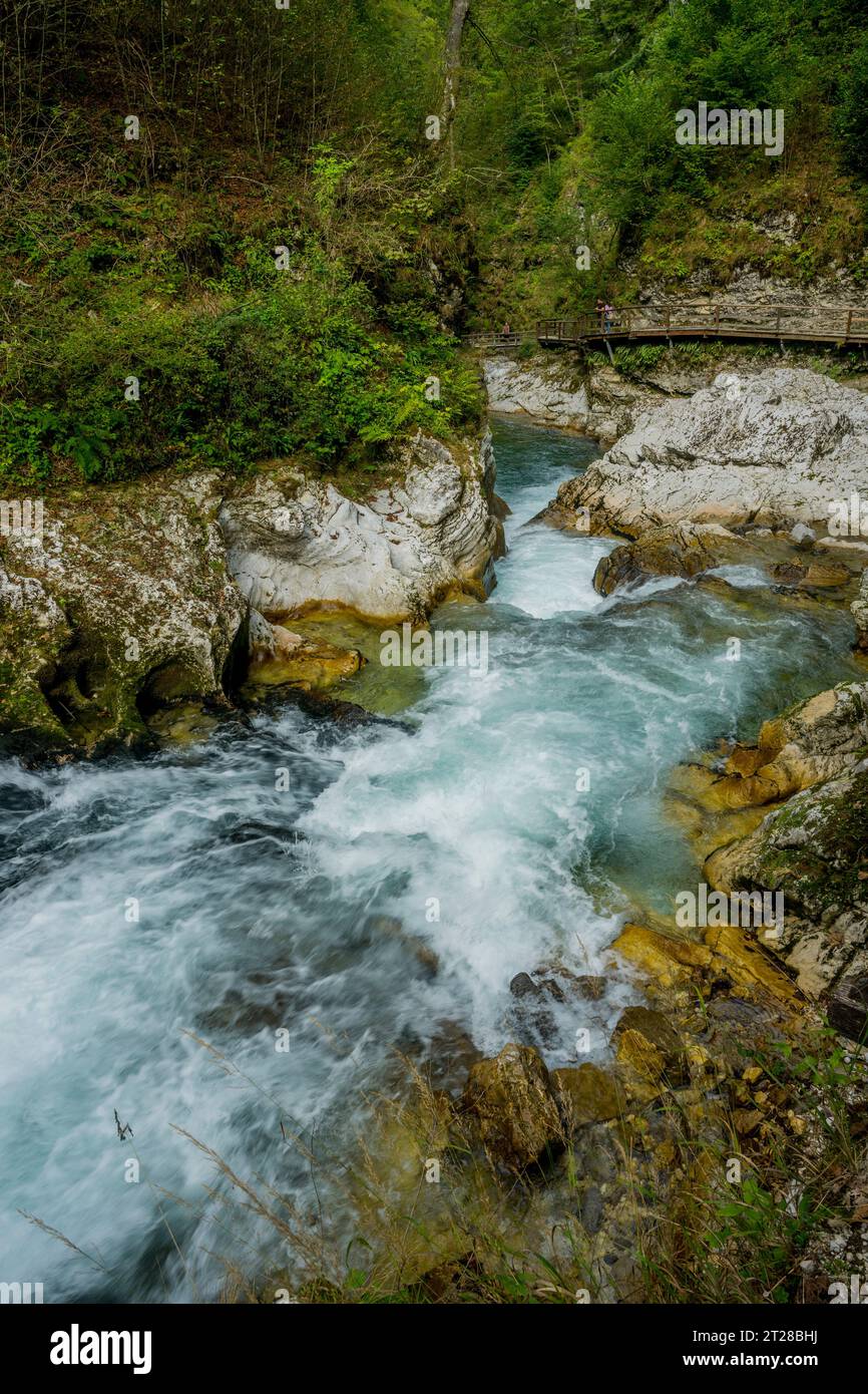 The Vintgar Gorge or Bled Gorge is a 1.6-kilometer (0.99 mi) gorge , carved by the Radovna River near Bled, Slovenian Alps, Slovenia. Stock Photo