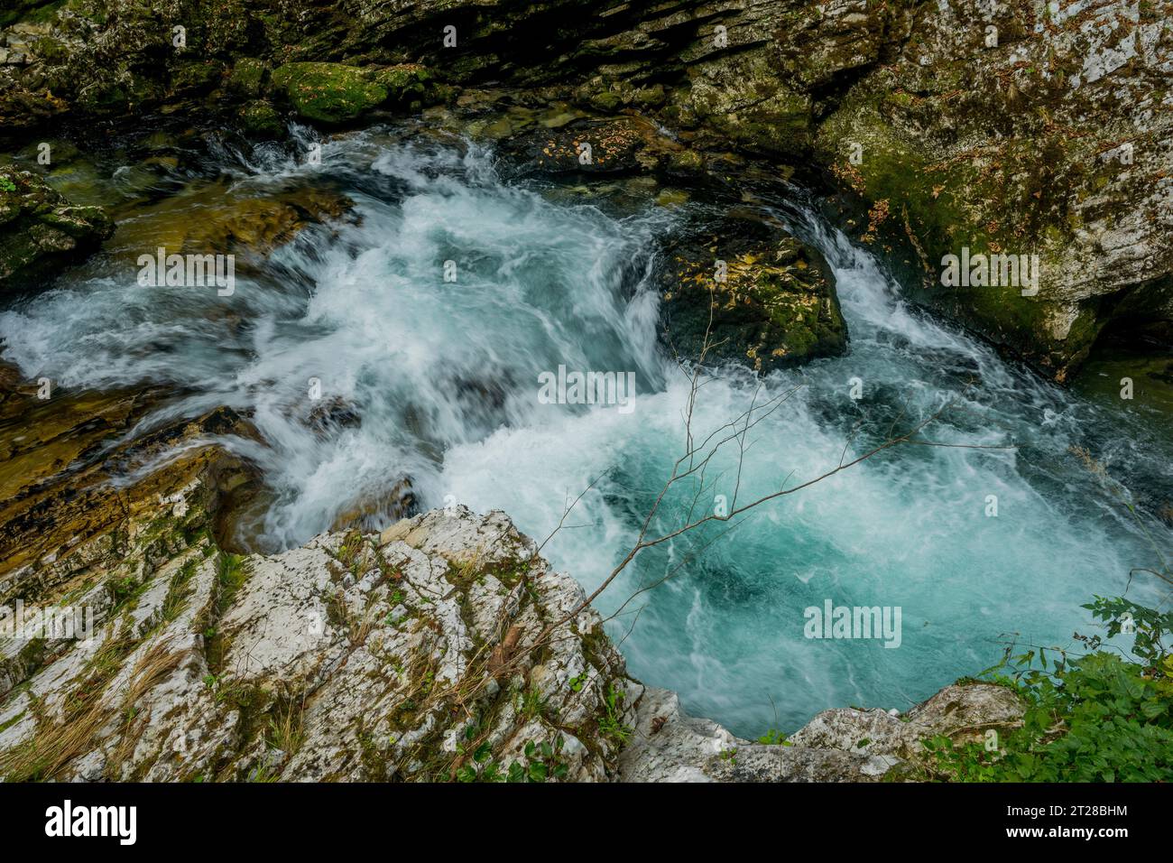 The Vintgar Gorge or Bled Gorge is a 1.6-kilometer (0.99 mi) gorge, carved by the Radovna River near Bled, Slovenian Alps, Slovenia. Stock Photo