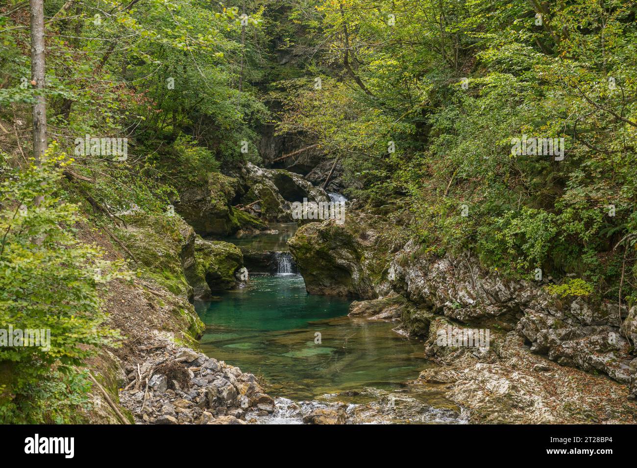 The Vintgar Gorge or Bled Gorge is a 1.6-kilometer (0.99 mi) gorge ...