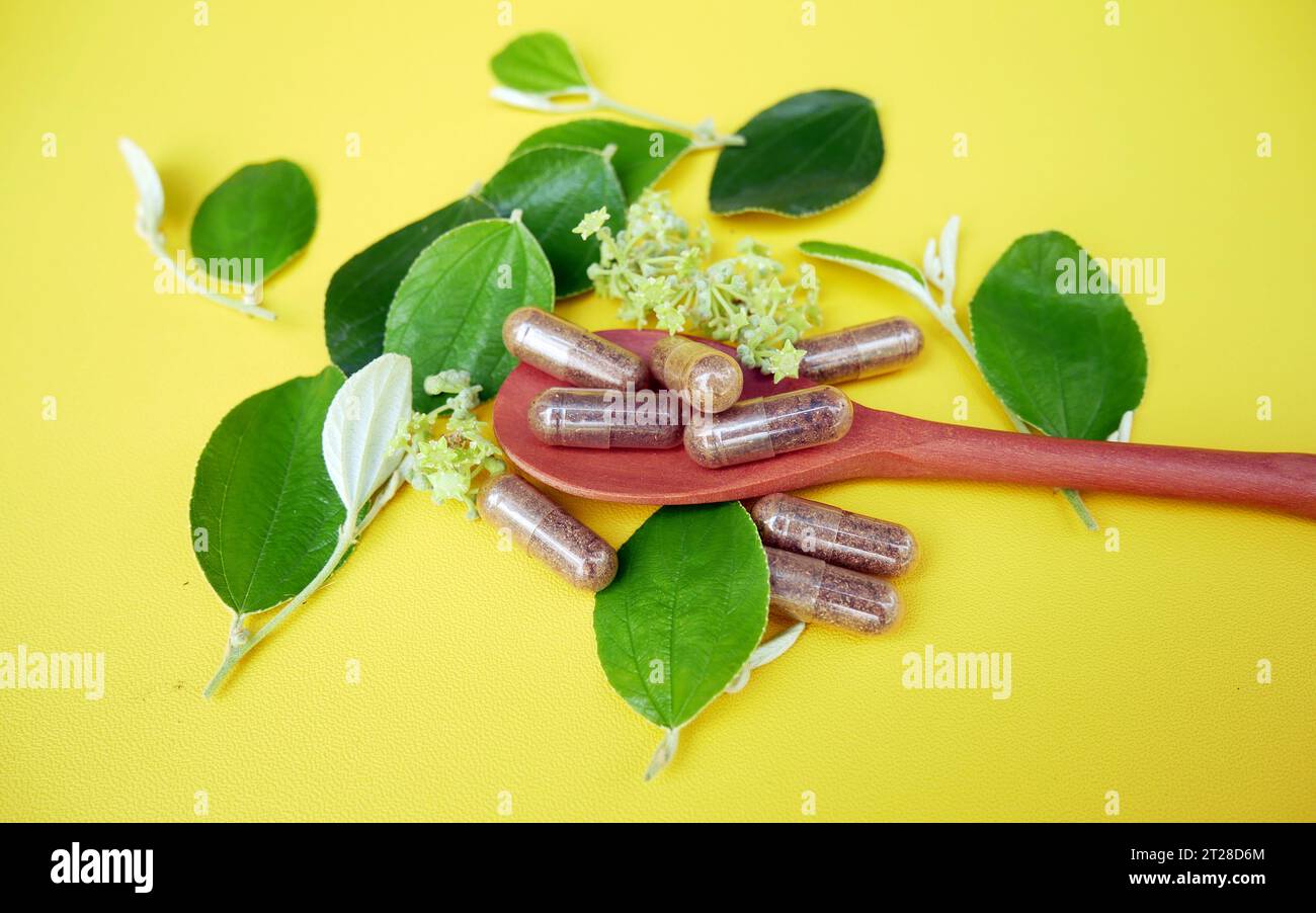 Herbal medicine in capsules with bidara leaves on yellow background ...