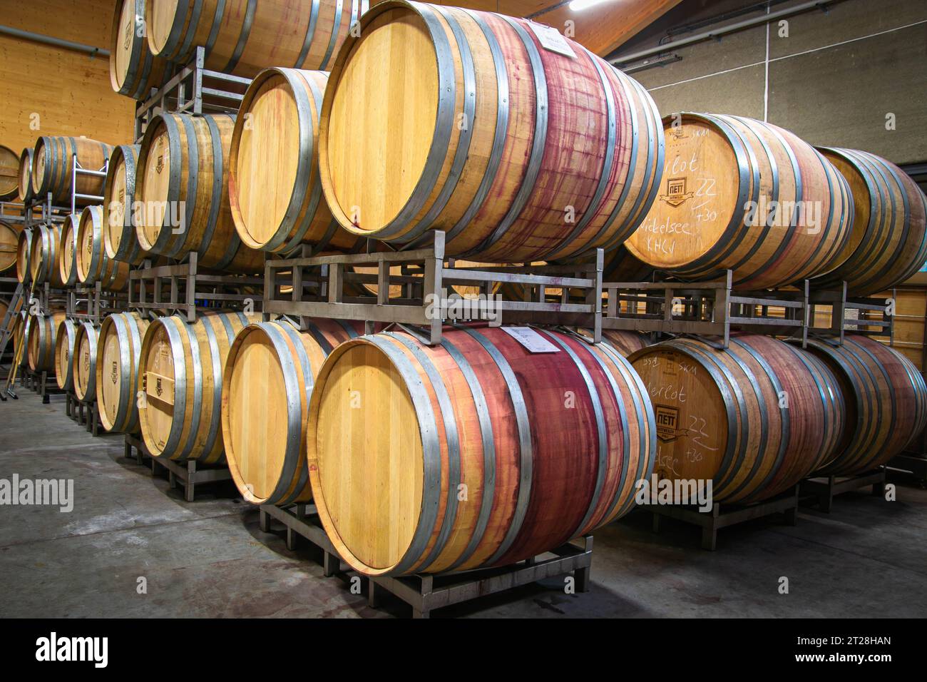 Wine cellar of a modern winery with wooden barrels and stainless steel