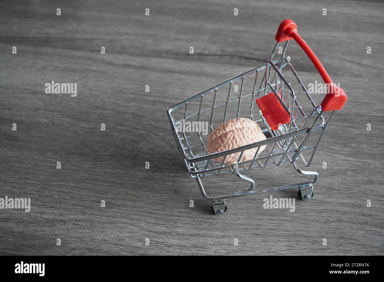 A human brain inside shopping carts. Consumer behavior, impulse buying and shopping addiction concept. Stock Photo