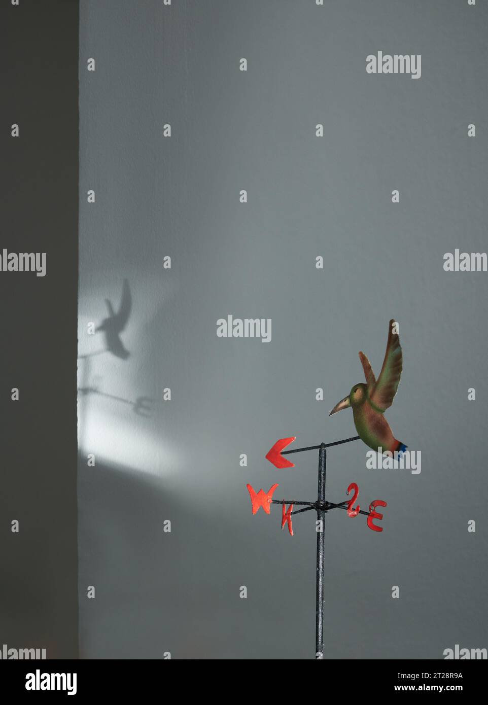 Hummingbird wind vane or weather vane with shadow as background