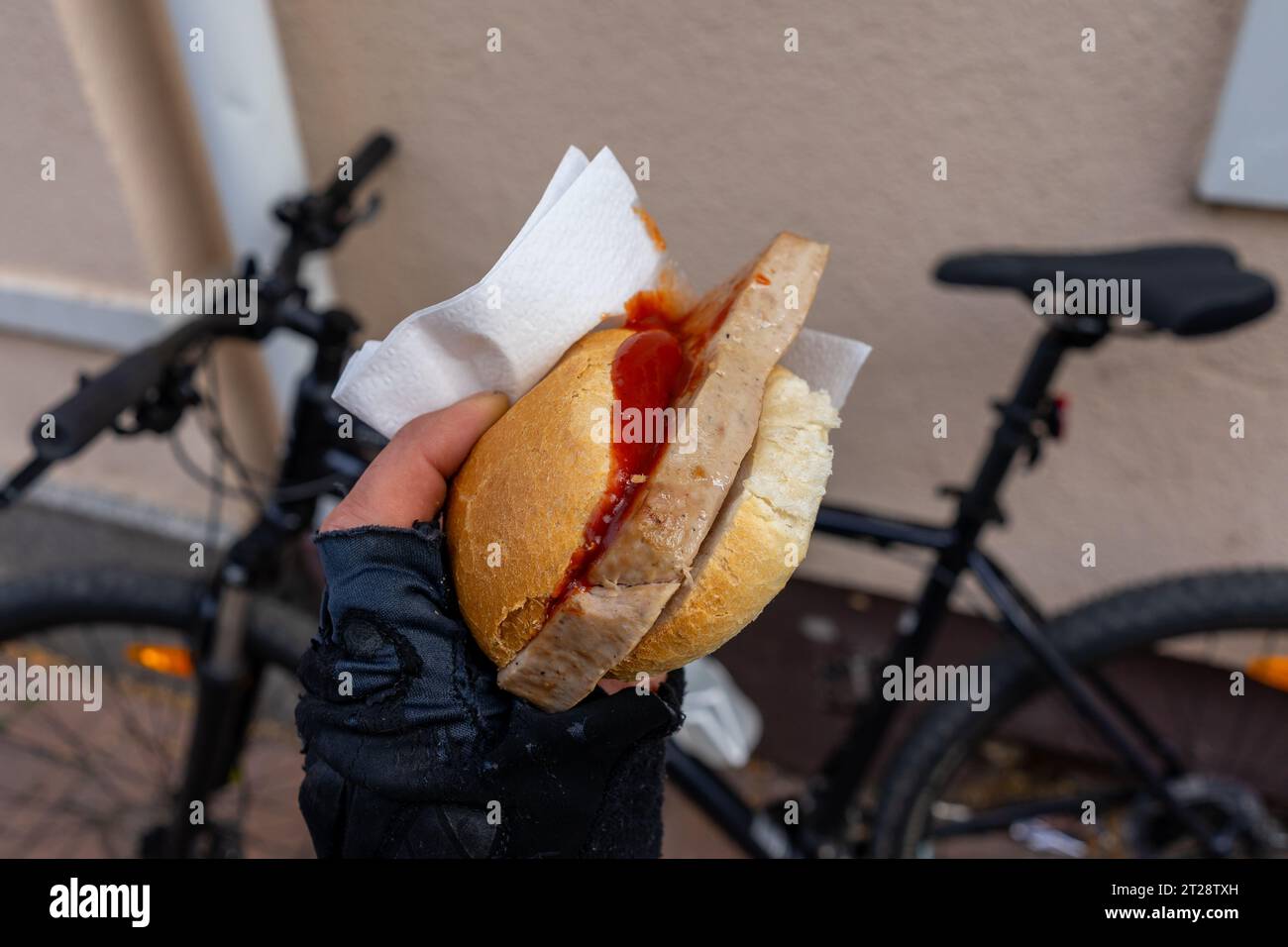 Fresh meatloaf with bread roll and ketchup Stock Photo