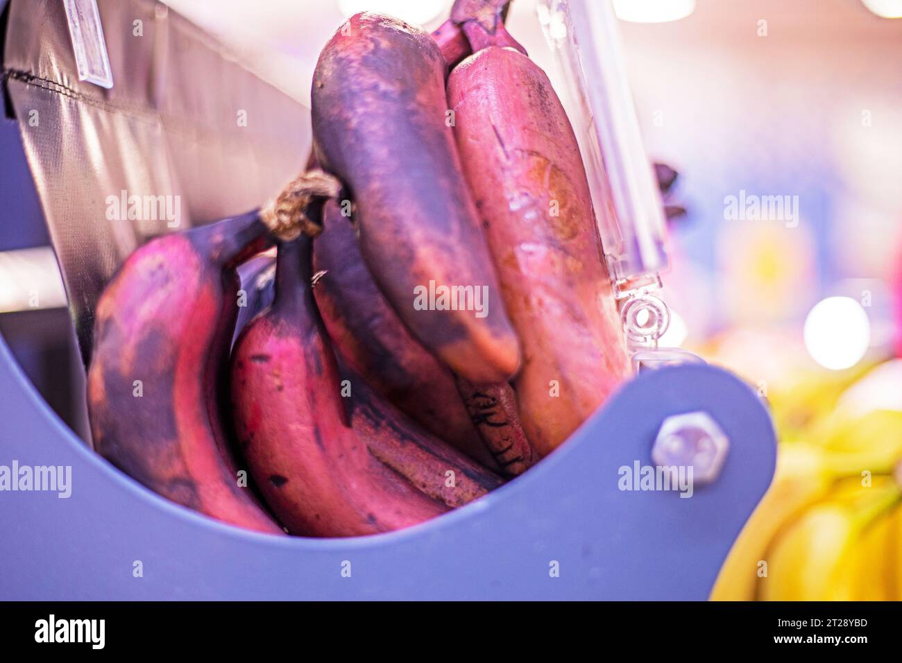 bunches of brown bananas on the counter in a supermarket Stock Photo