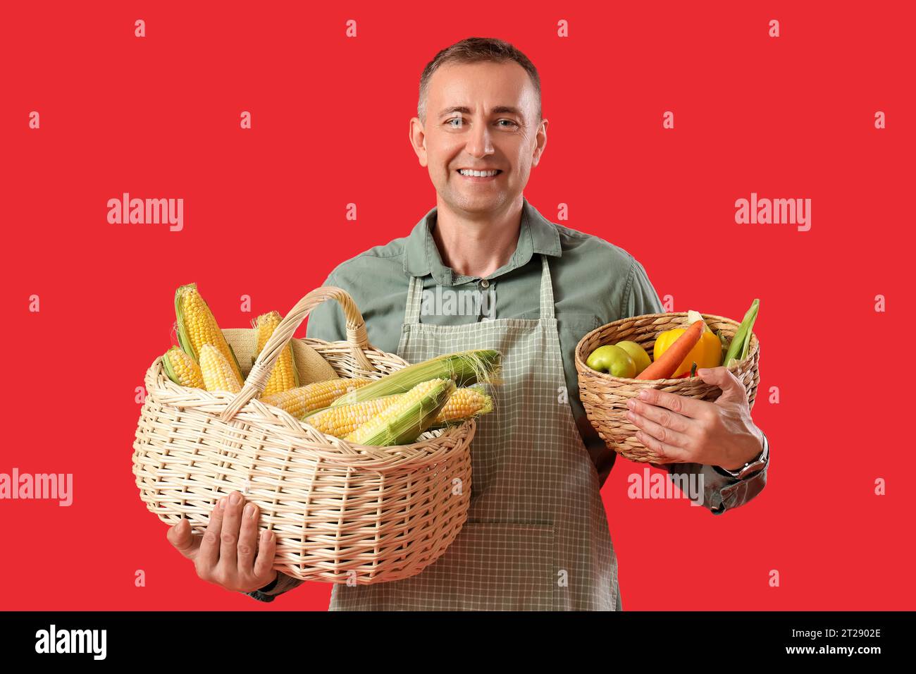 Mature male farmer with wicker baskets full of ripe vegetables on red ...