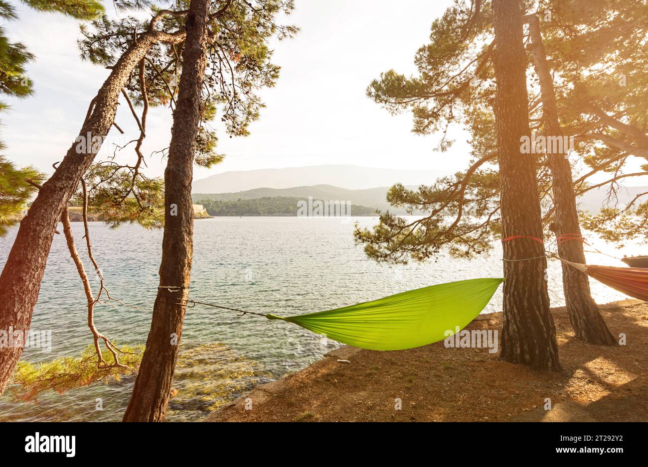 Hammock between pine trees in scenic bay (Osor) on the island of Losinj in the Adriatic Sea, Croatia Stock Photo