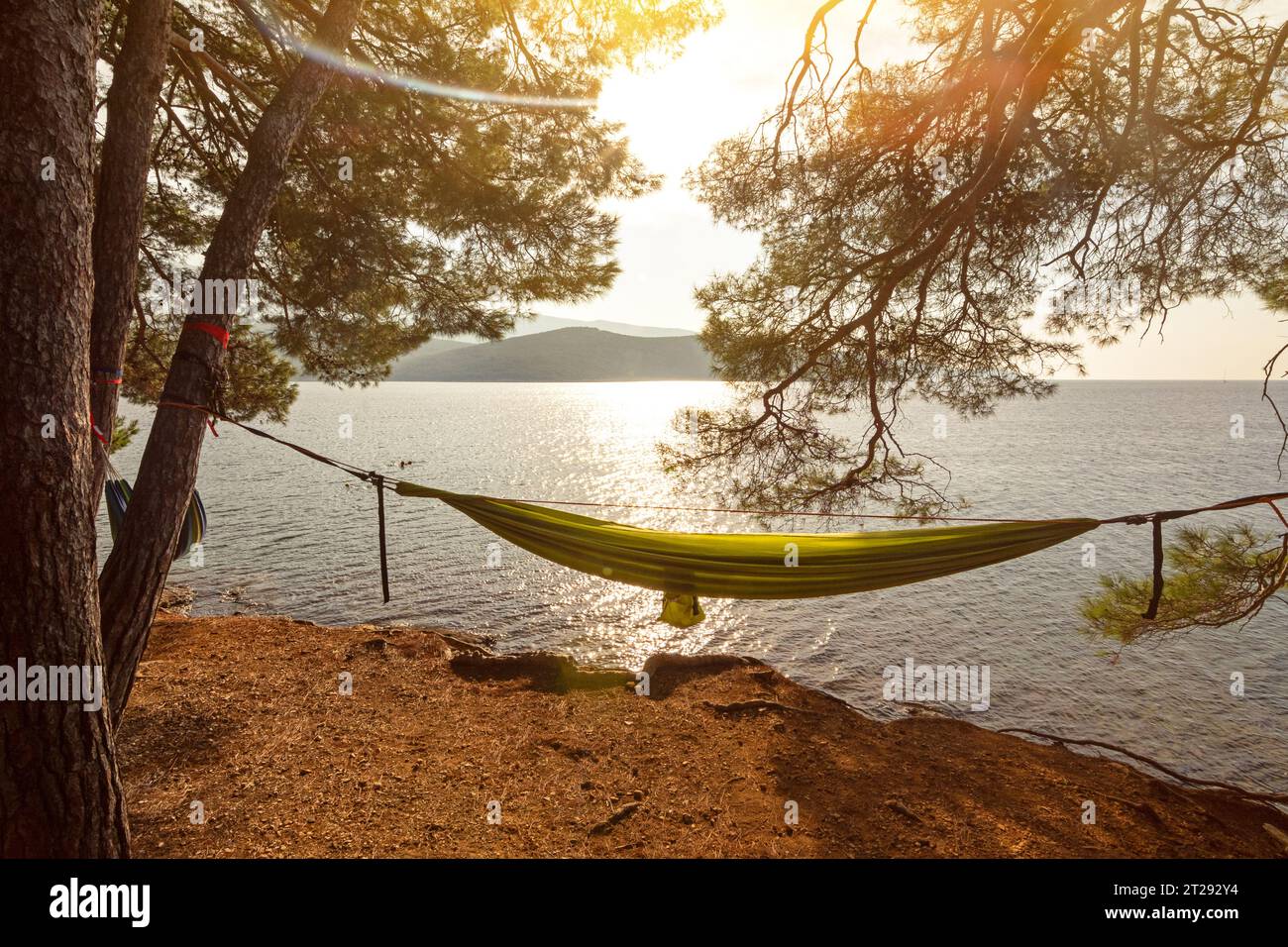 Hammock between pine trees in picturesque bay (Osor) on the island of Losinj in the Adriatic Sea, Croatia Stock Photo