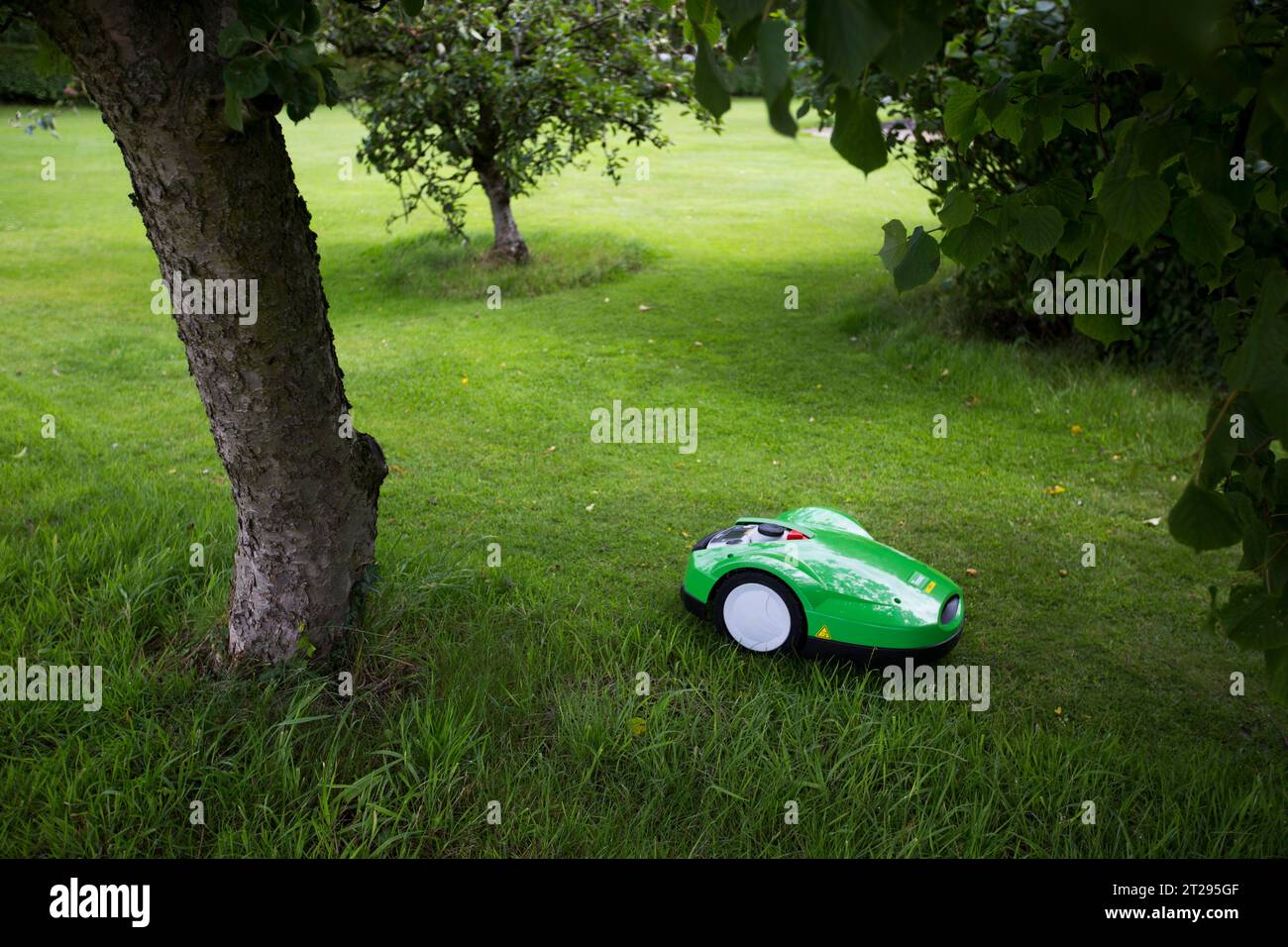 An automated lawn mower negotiating obstacles in a garden in the UK. Stock Photo