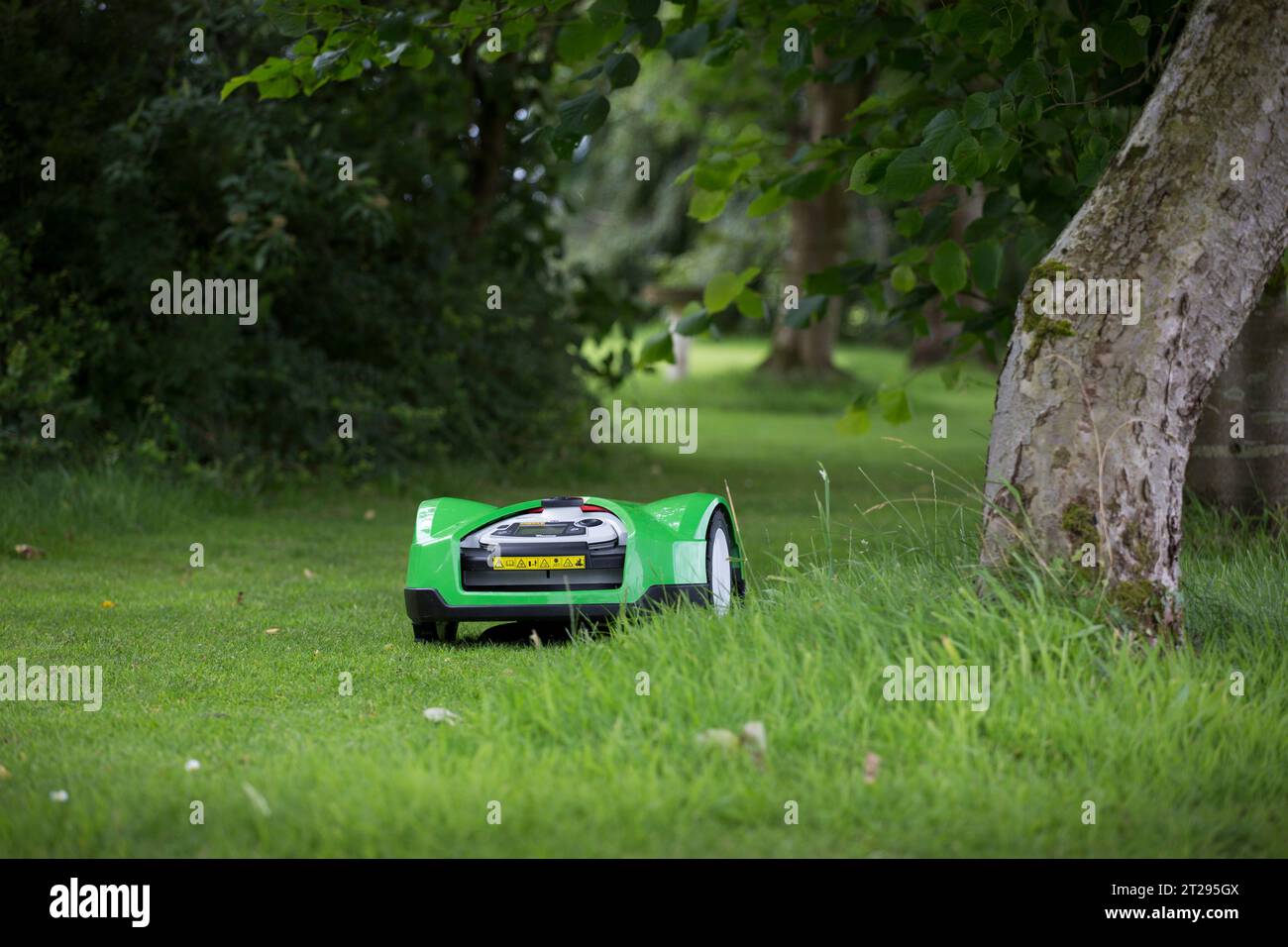 An iMow automated lawn mower in a garden in the UK Stock Photo