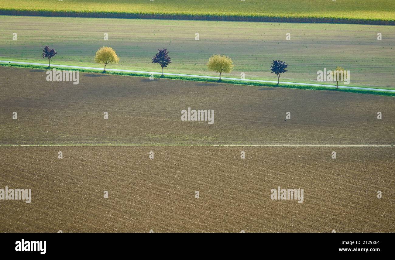 Farming fields rows trees hi-res stock photography and images - Alamy