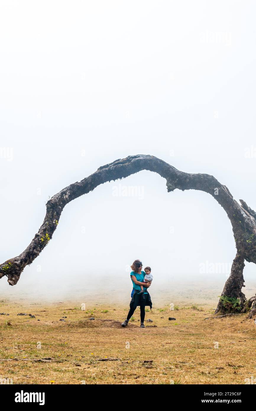 Fanal forest with fog in Madeira, thousand-year-old laurel trees, a mother in the arch of a tree Stock Photo