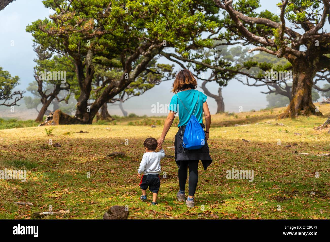 Fanal forest in Madeira, mother with her son having fun among laurel trees in summer Stock Photo