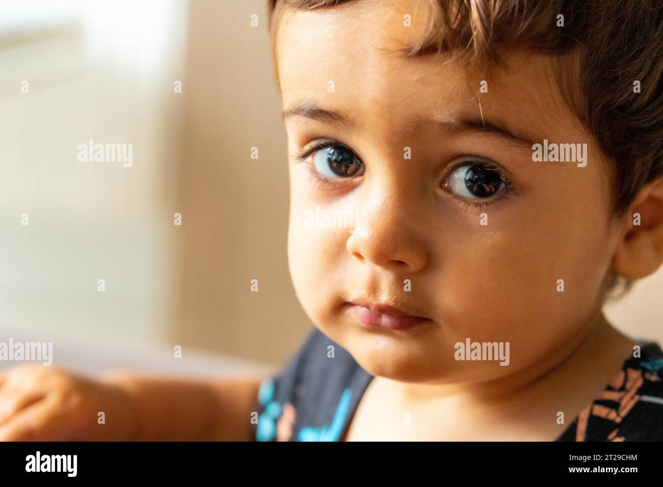 Portrait of a one year old Caucasian boy looking at the camera Stock