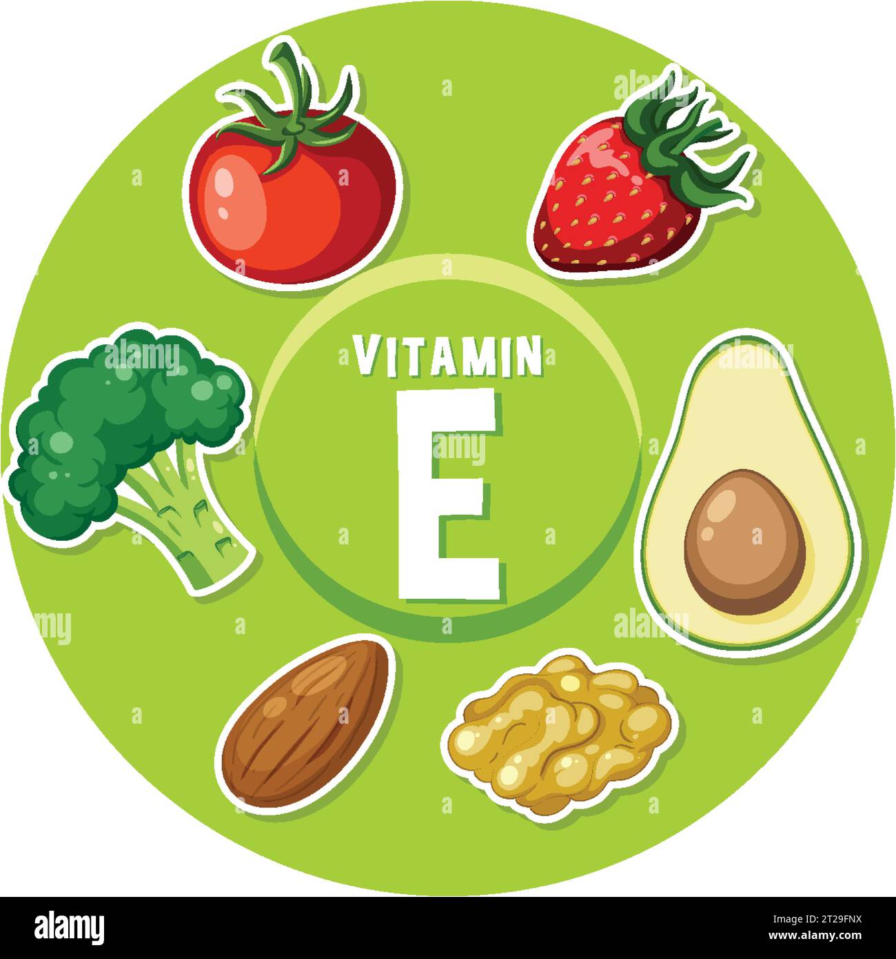 Learn about vitamin Erich foods in this educational poster Stock