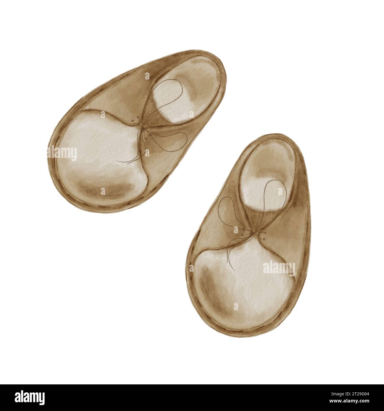 Watercolor illustration set with baby shoes isolated on white ...