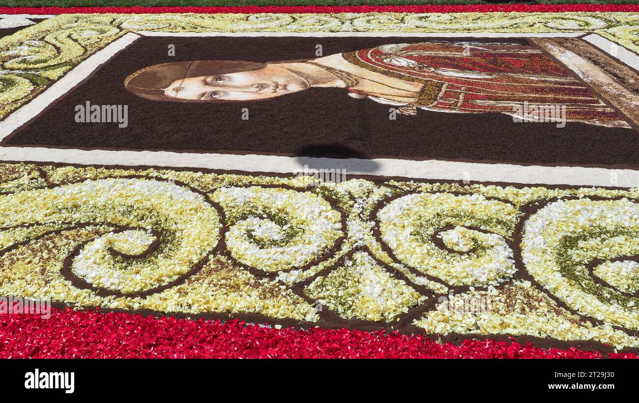 Flowers background. Beautiful flower decoration, carpet of cut flowers. Top view. Flat lay close up. 'Infiorata' or decorated with flowers Festival. Stock Photo