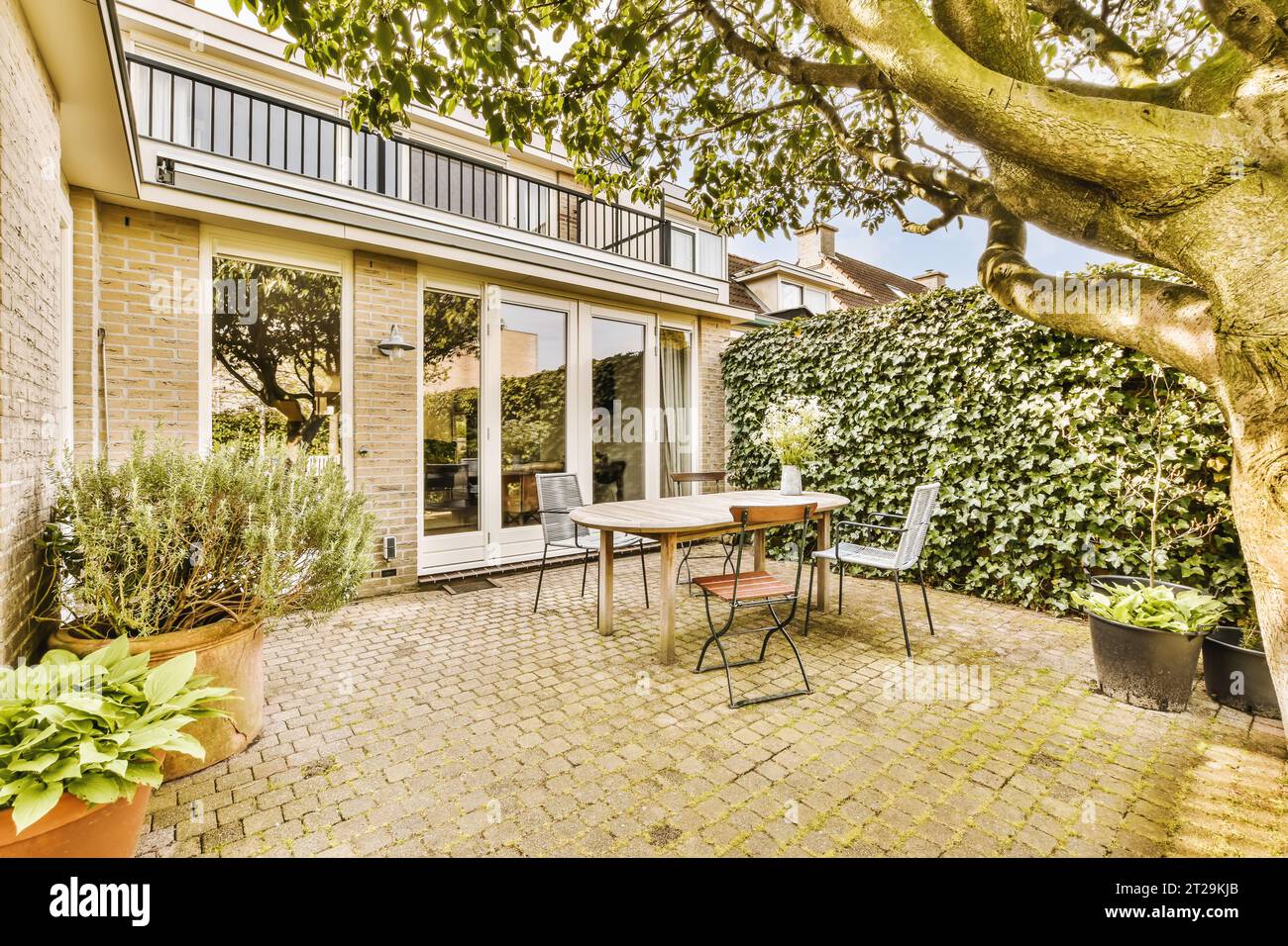 Backyard area with table and chairs arranged in patio with potted ...