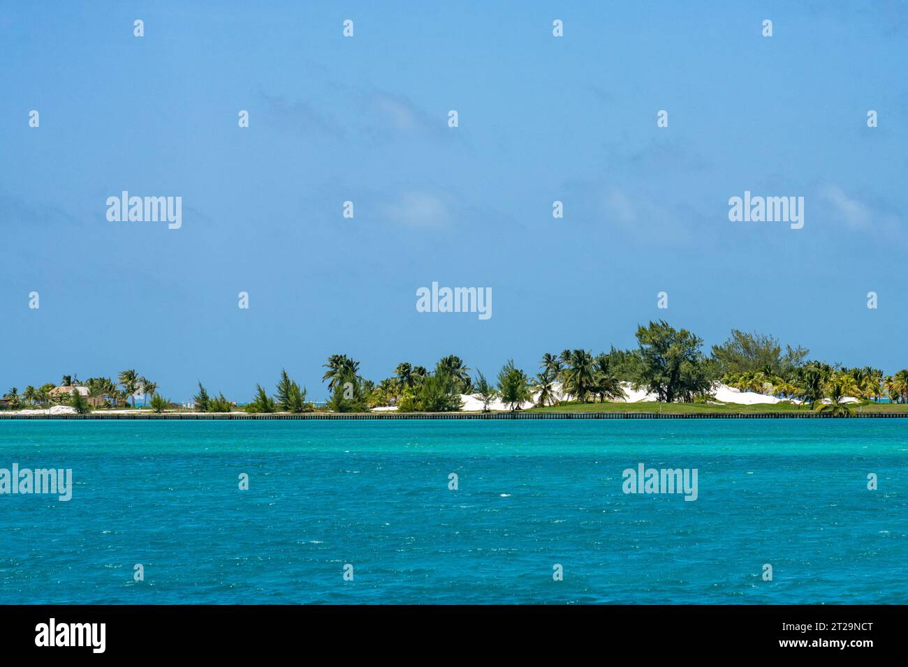 Palm trees on Caye Chapel in the Caribbean Sea.  Belize. Stock Photo