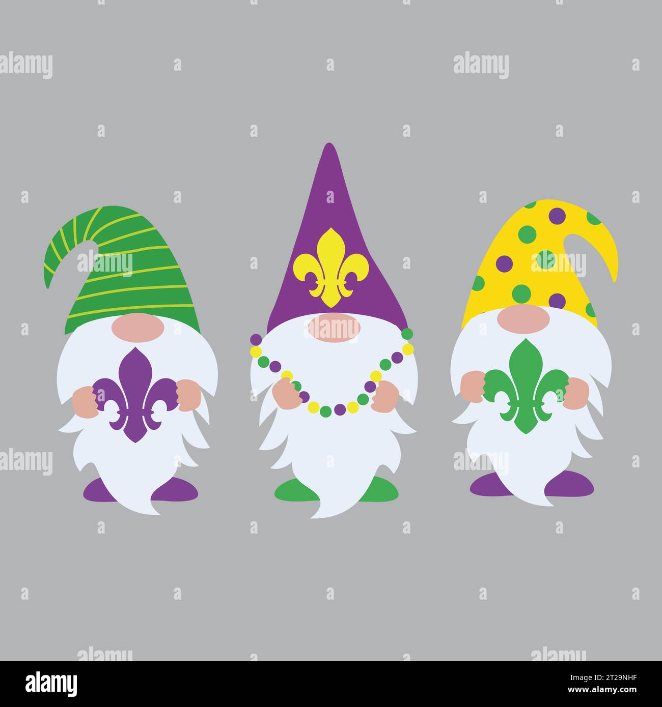 mardi gras gnome shirt