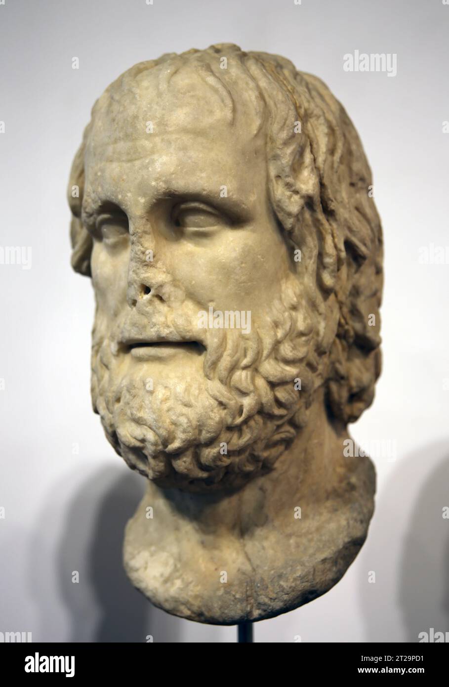 Head of Euripides. Roman copy of a Greek original from the late 4th century BC. Pentelic marble. From Zagarolo, Latium. Barracco Museum of Antique Scu Stock Photo