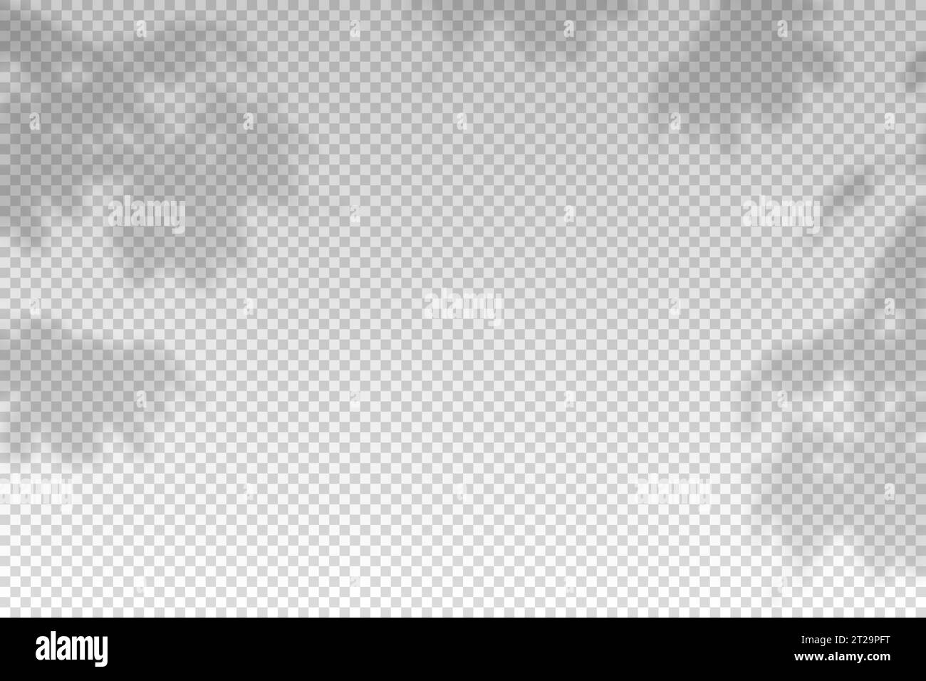 Plants overlay shadow. Reflect light from branches. Sun rays reflection