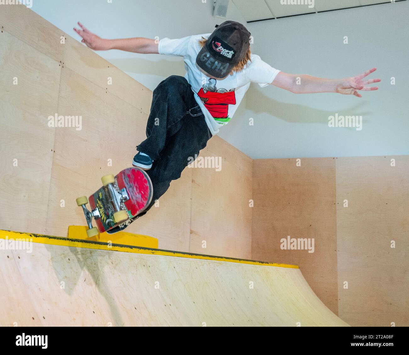 Converse uk on sale skate team