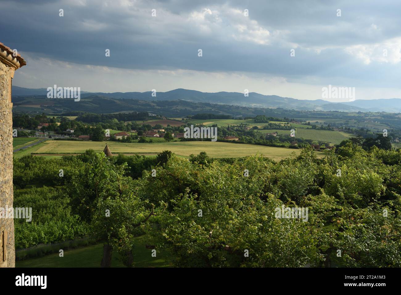 Looking across the cherry orchard into the green valley, farmland and rolling hills of Le Bois-d'Oingt,  Auvergne-Rhône-Alpes, France Stock Photo