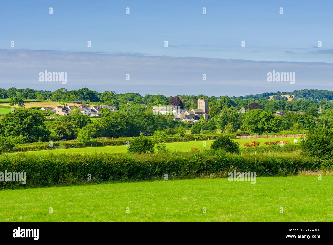 The village of Culmstock surrounded by countryside in the Culm Valley, Devon, England Stock
