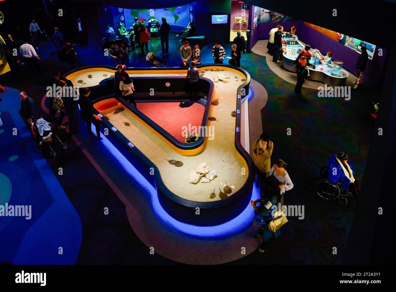 People or tourists in the cafeteria area where a pool where fish and animals can be touched. The opening of the famous place is already considered a s Stock Photo