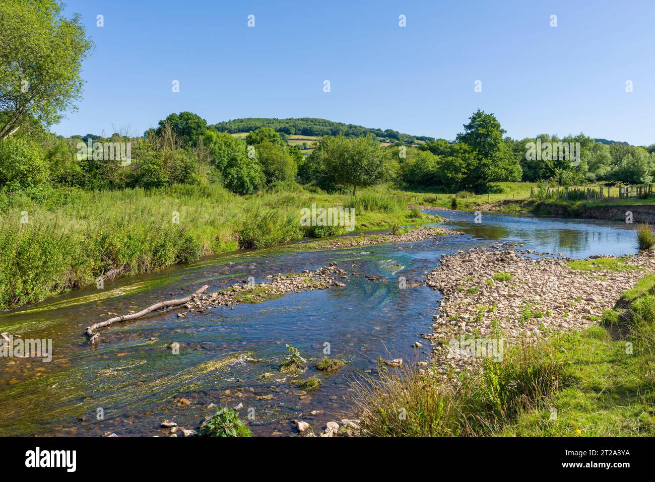 The River Culm flowing through countryside below Culmstock Beacon, part