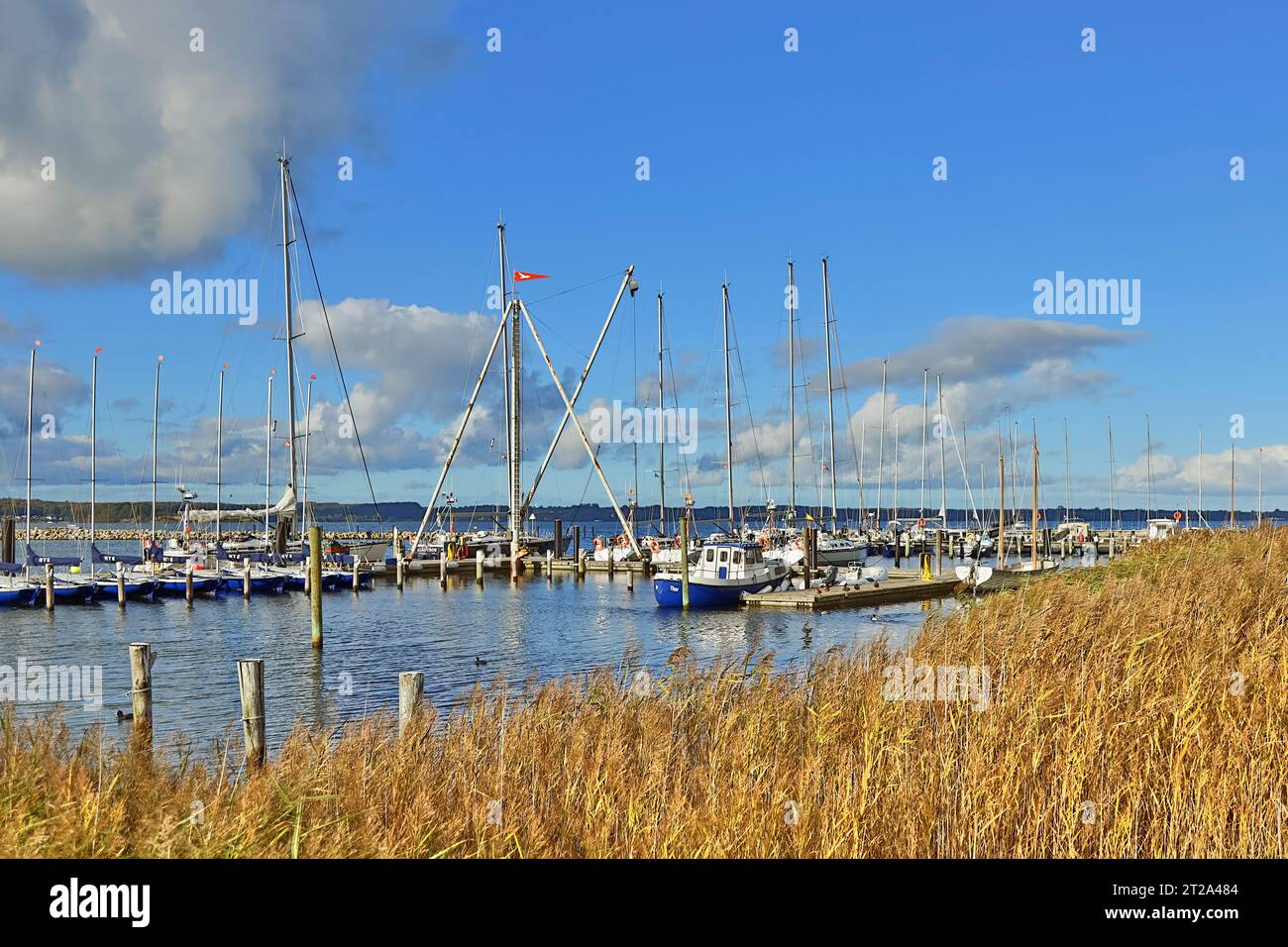 Marina with pleasure craft moorings and boat berths on the shore area of the Flensburg Fjord in Gluecksburg in Schleswig-Holstein, Germany. Stock Photo