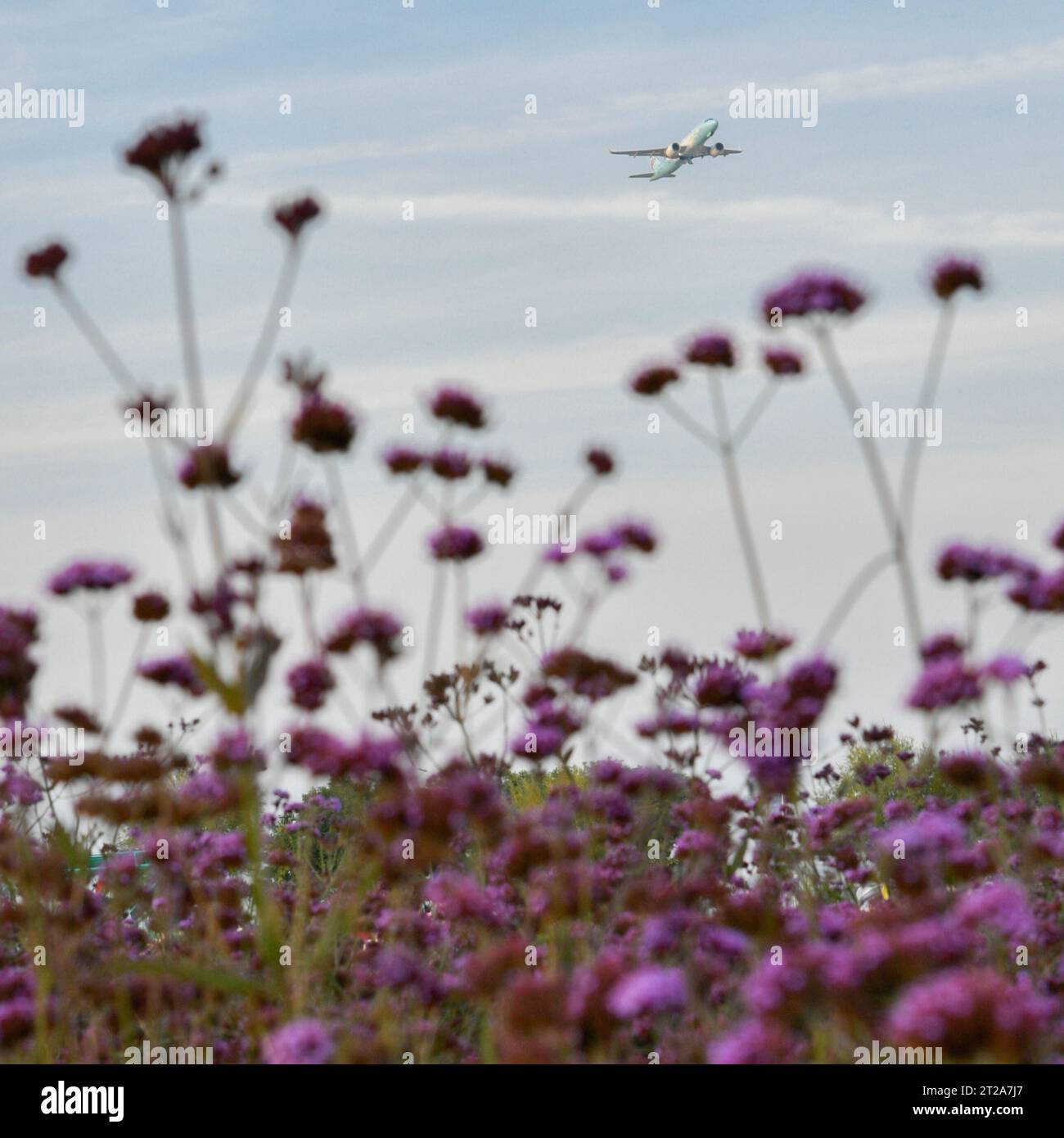 (231018) -- LANZHOU, Oct. 18, 2023 (Xinhua) -- This photo taken on Oct ...